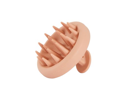 Receive a Complimentary Shampoo Brush, Worth &euro;20, When You Purchase Two Champo Products